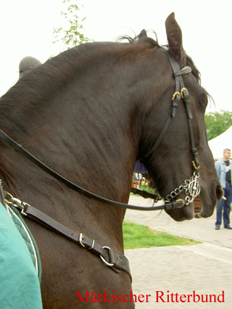 PICT2009