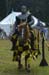 mrb_25601