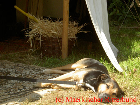PICT5601