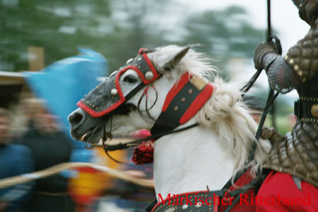 imm035_36-17