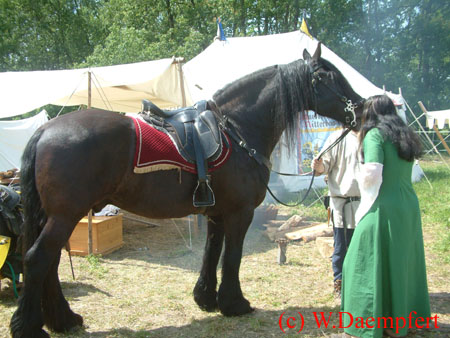 4_Ritterturnei 064