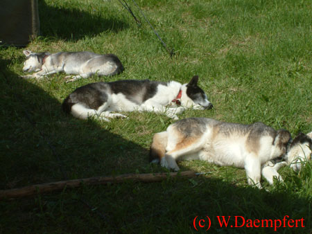 4_Ritterturnei 072